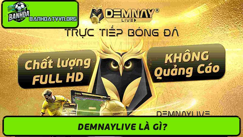 Demnaylive Nền tảng xem bóng đá trực tuyến số 1 Việt Nam