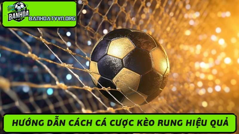 Kèo Rung Là Gì Hướng Dẫn Cách Cá Cược Kèo Rung Hiệu Quả