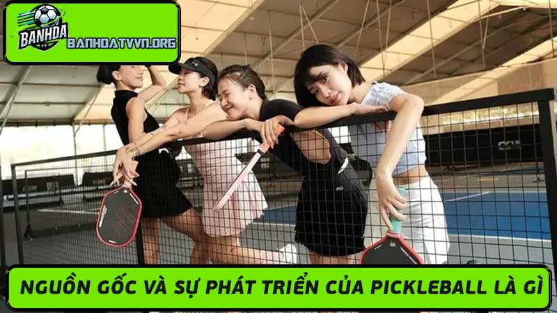 Pickleball là gì Môn thể thao mới lạ thú vị đang hot trend