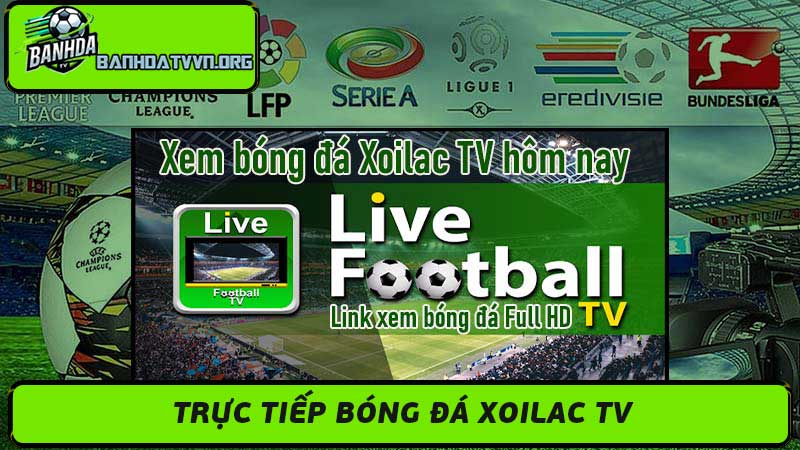 Trực Tiếp Bóng Đá Xoilac TV - Xem Bóng Đá Online HD