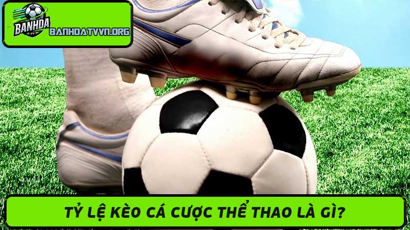 Tỷ Lệ Kèo Cá Cược Thể Thao - Kèo Nhà Cái Uy Tín 2024