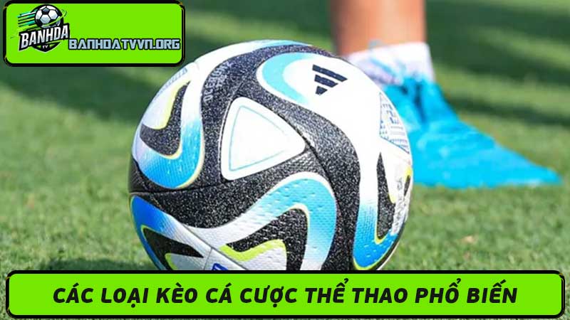 Tỷ Lệ Kèo Cá Cược Thể Thao - Kèo Nhà Cái Uy Tín 2024